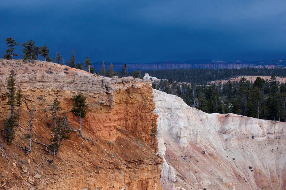 Bryce-Canyon-rim