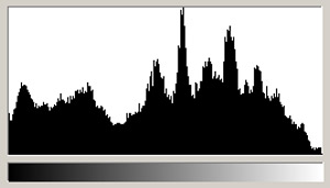 Histogram