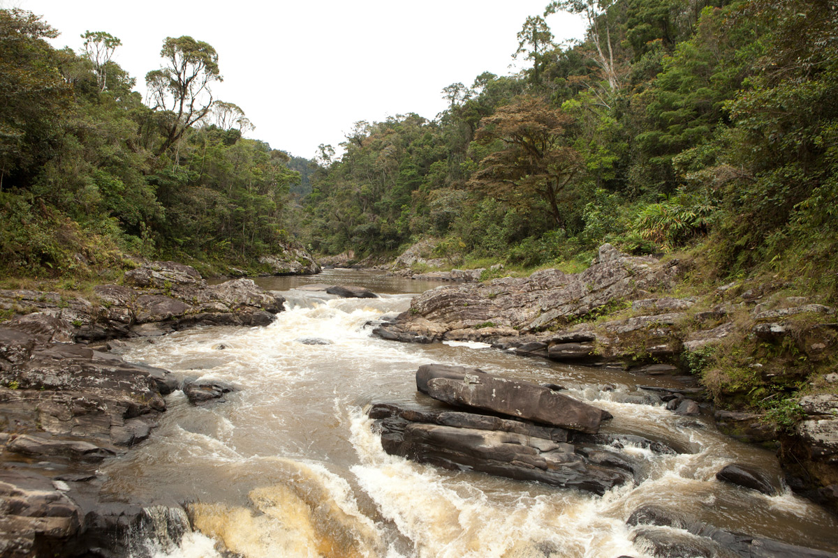 Ranomafana-Madagascar-defined-water