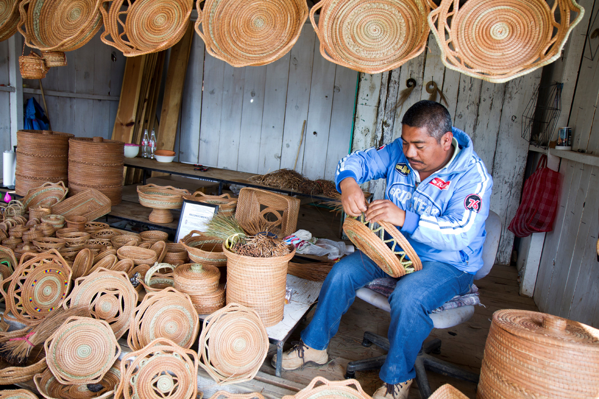 mexico, el rosario, pine needle basket, ecotourism