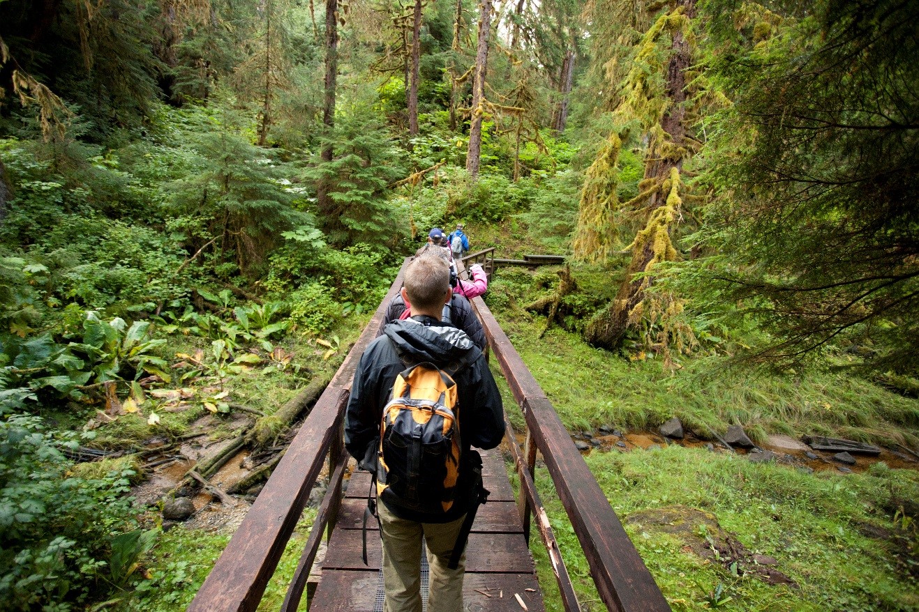anan creek, bears, bear viewing, alaska