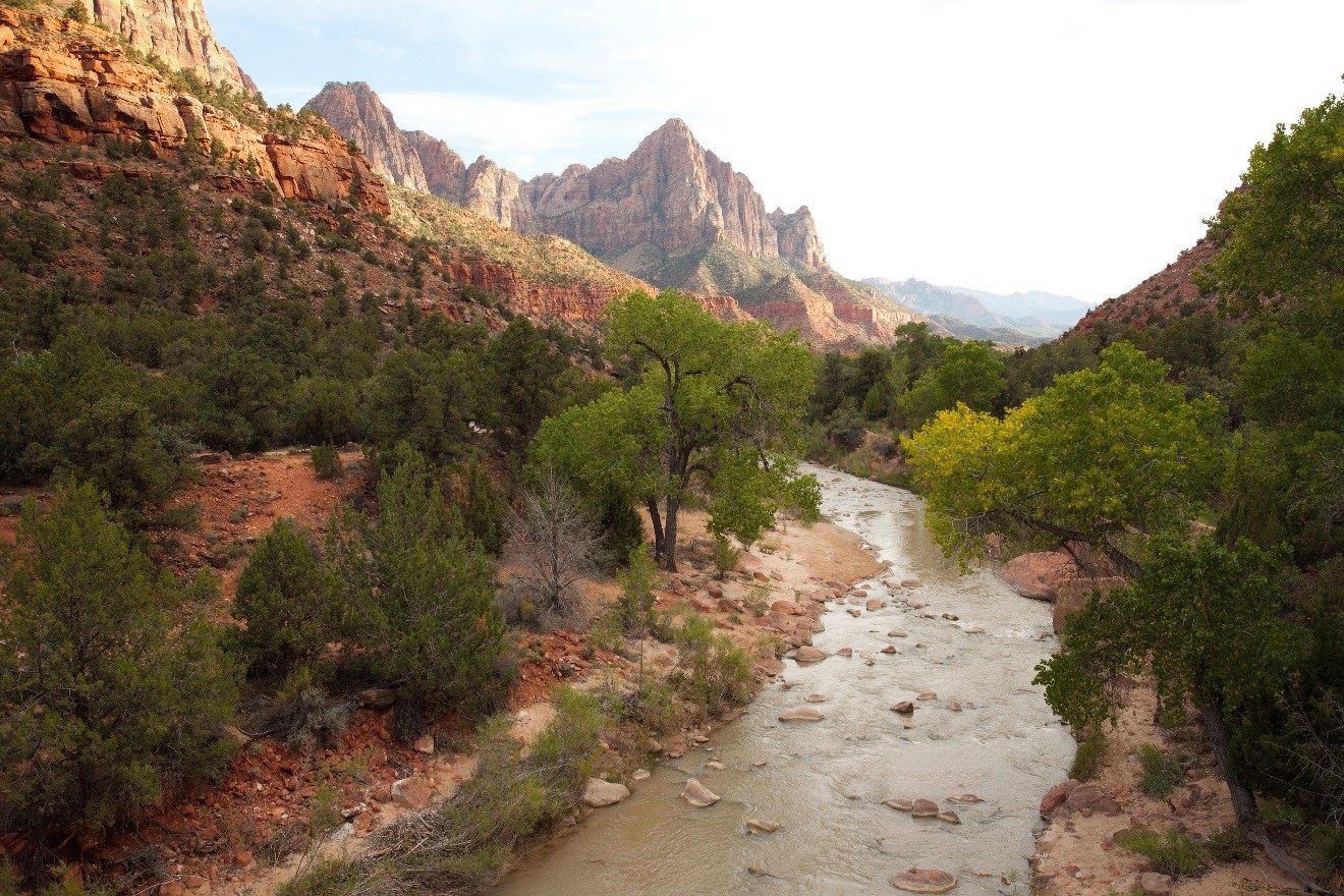 Virgin River in Zion National Park