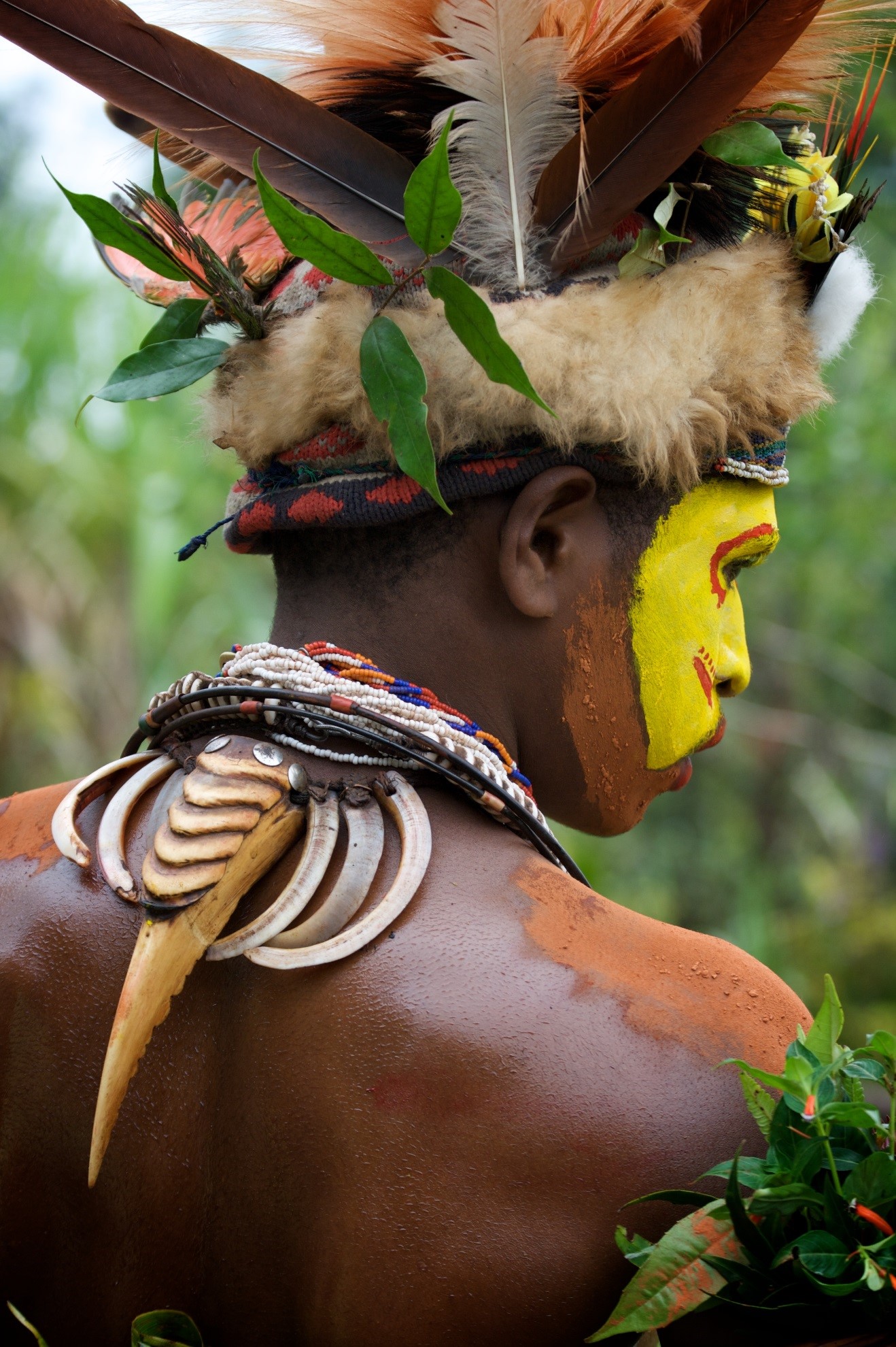 Huli Warrior 1