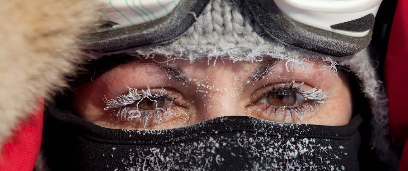 Arctic Eyes