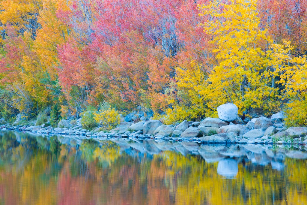 Fall Reflections