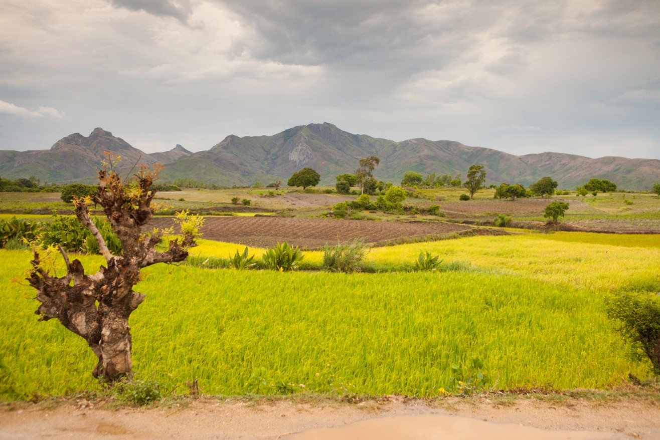 Madagascar countryside
