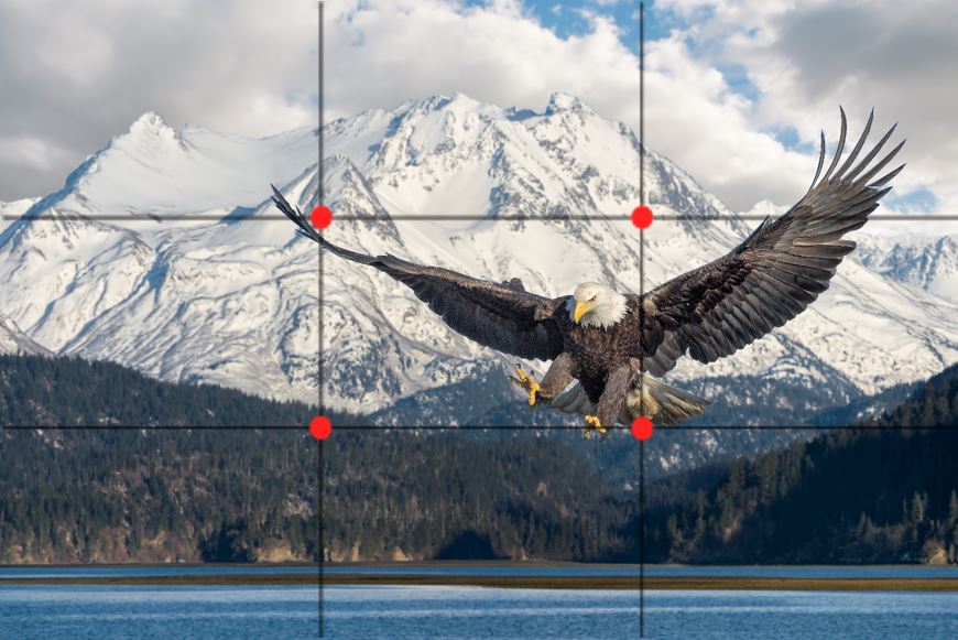 about to catch a fish composition
