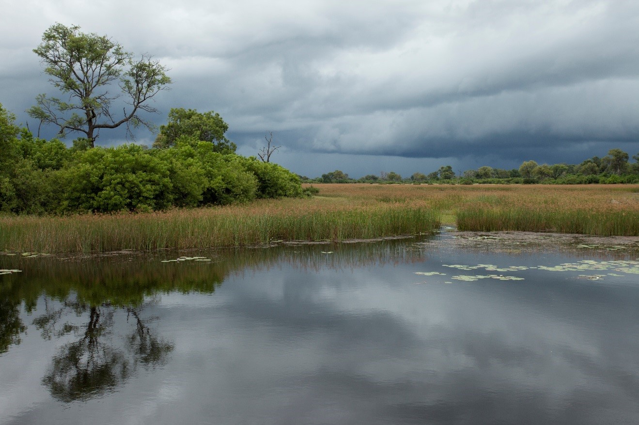 beautiful thunder clouds form over botswana's okavango delta