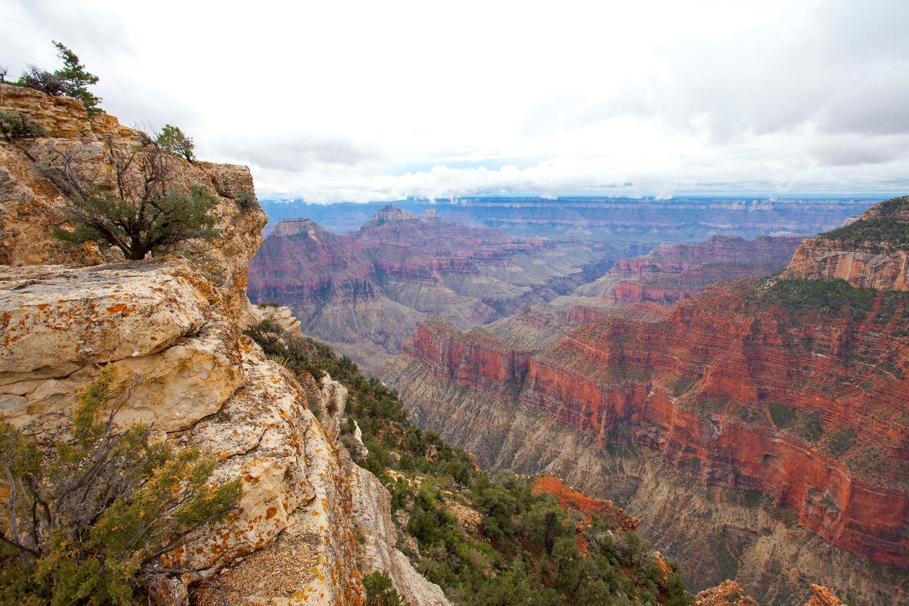 vibrant colors of the layers of the Grand Canyon as viewed from the north rim