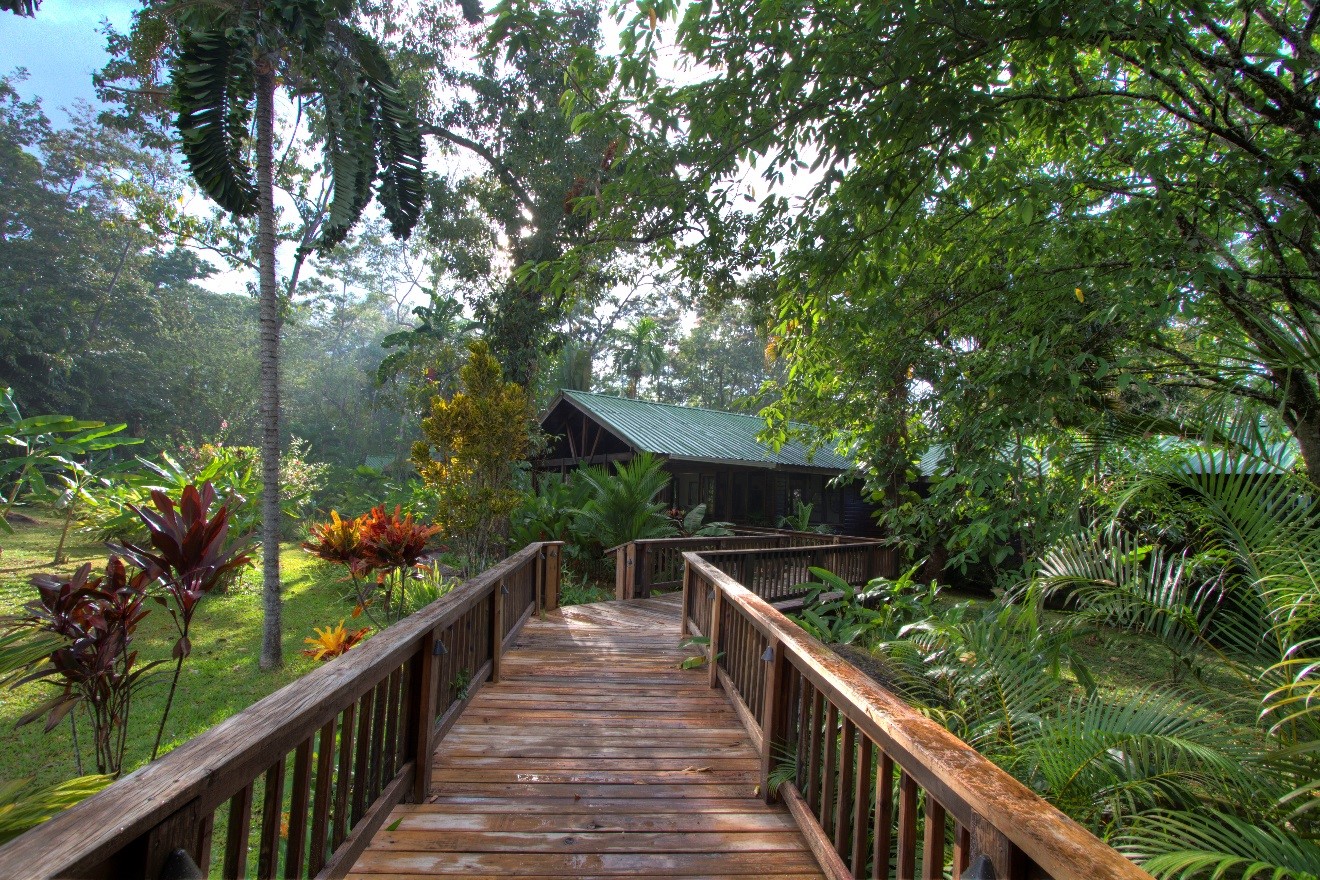 an hdr photo of the pico bonito boardwalk in honduras