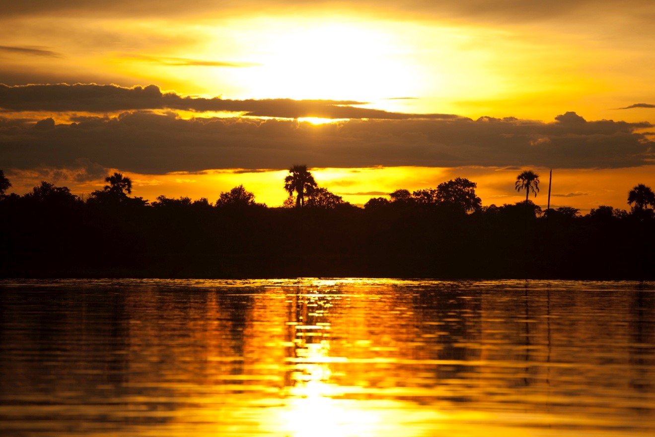 a stunning sunrise on Botswana's okavango delta illuminates the sky