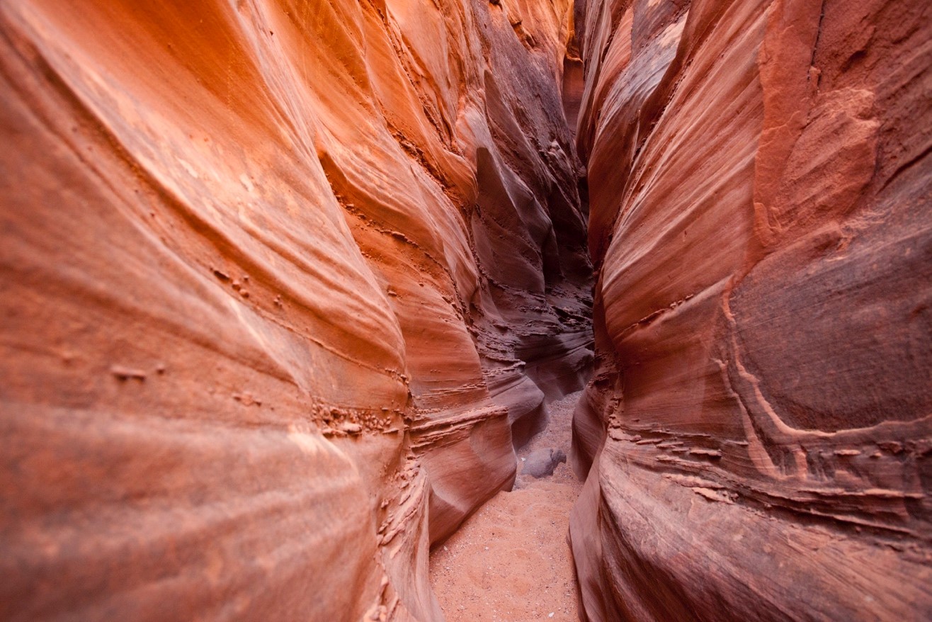 a slot canyon trail meanders through Escalante National Monument