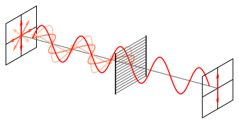 a graphic explaining how polarized light works