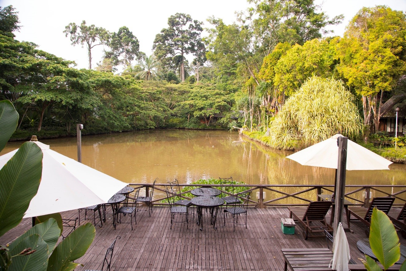 a travel photo of a small lagoon outside of Sepilok Nature Resort