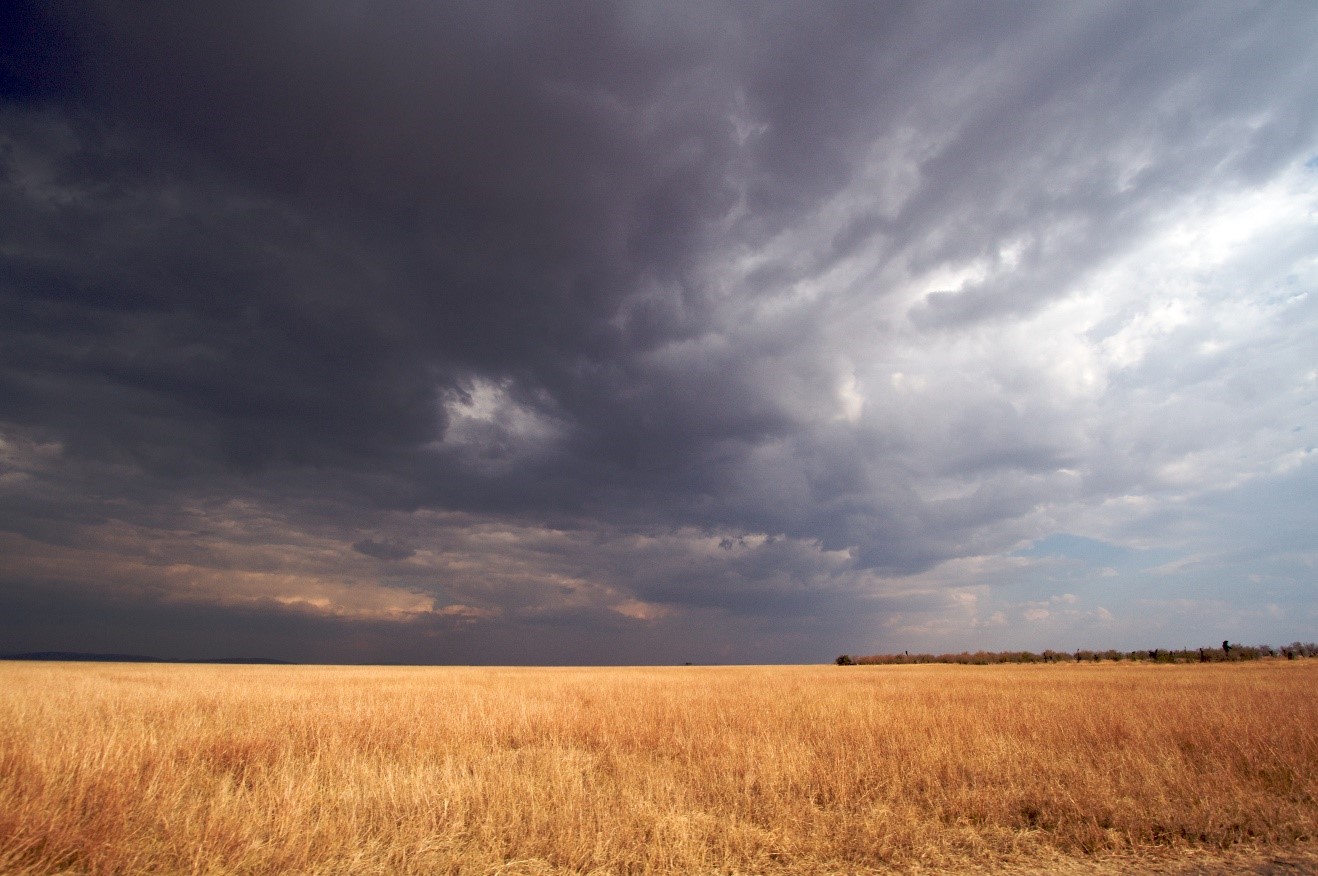 a thunderstorm rolls in over kenya's masai mara