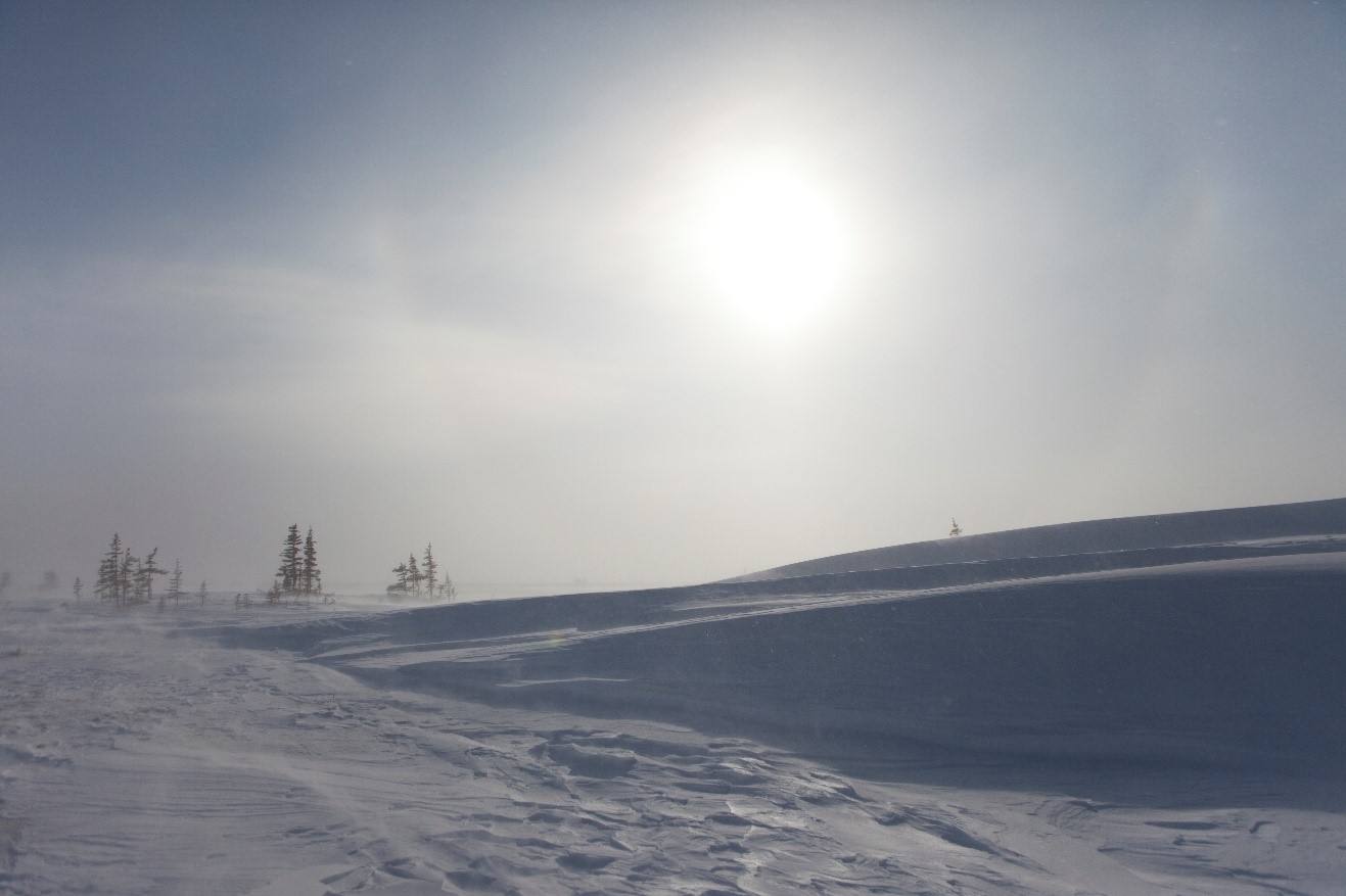 a desolate arctic landscape
