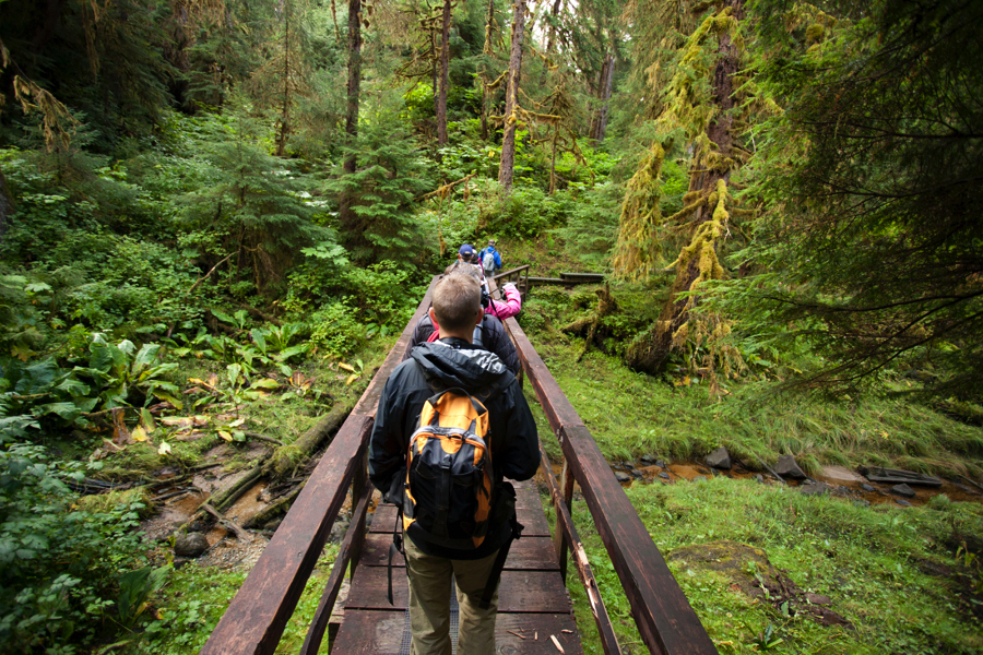 Wide-Angle Hiking Trail Forest