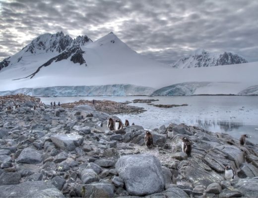 sweeping shot of antarctica landscape with mountains and penguins