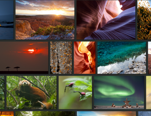 a screen shot of court whelan's photo page