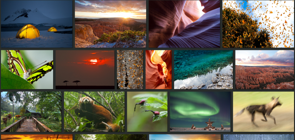 a screen shot of court whelan's photo page