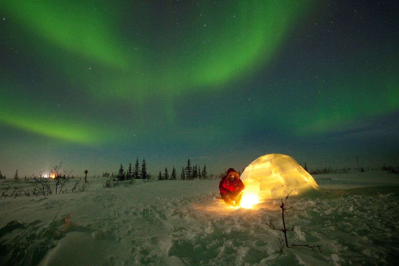 Court Whelan in front of an igloo watching the northern lights