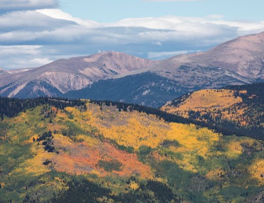 fall foliage taken from Mt. Evans in Colorado showing orange, yellow, and green leaves