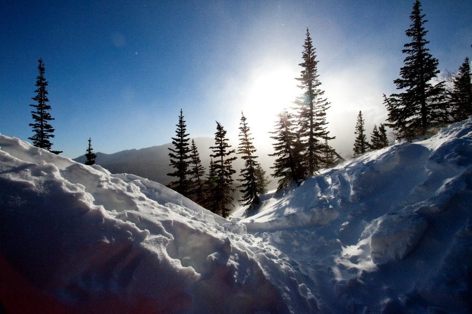 a stunning photo of the sun behind snow and spruce trees in a snowy rocky mountain national park