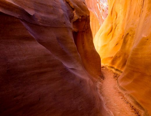 amazing light presents itself around the corner of a slot canyon in Escalante National Monument