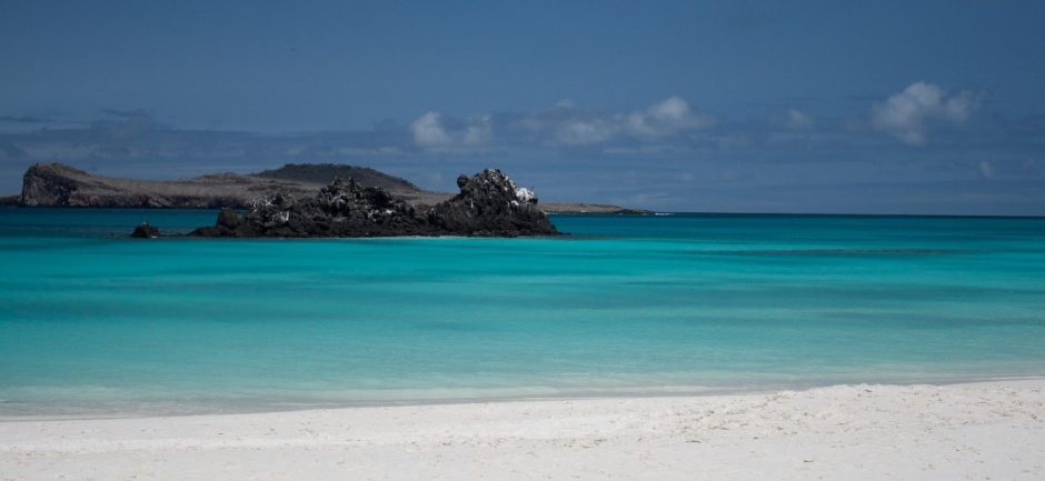 a photo of green water and blue skies over a beach in the galapagos