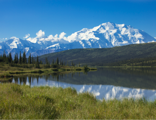 a perfect composition showcases the beauty of mt. denali in alaska