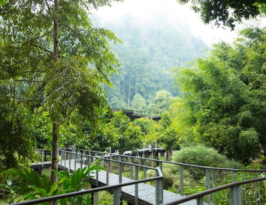 a captivating image of borneo rainforest lodge in danum valley