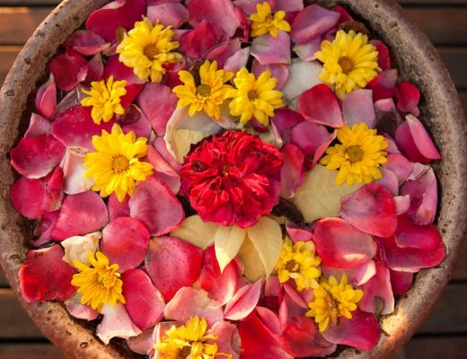 a colorful assemblage of flowers fills a pot outside of a hotel in myanmar