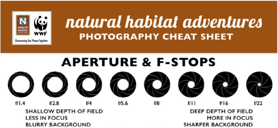 Fast Lens Examples Photo Jargon - What is a