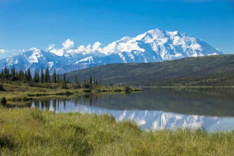 a stunning blue sky photo of mt. denali taken from reflection pond