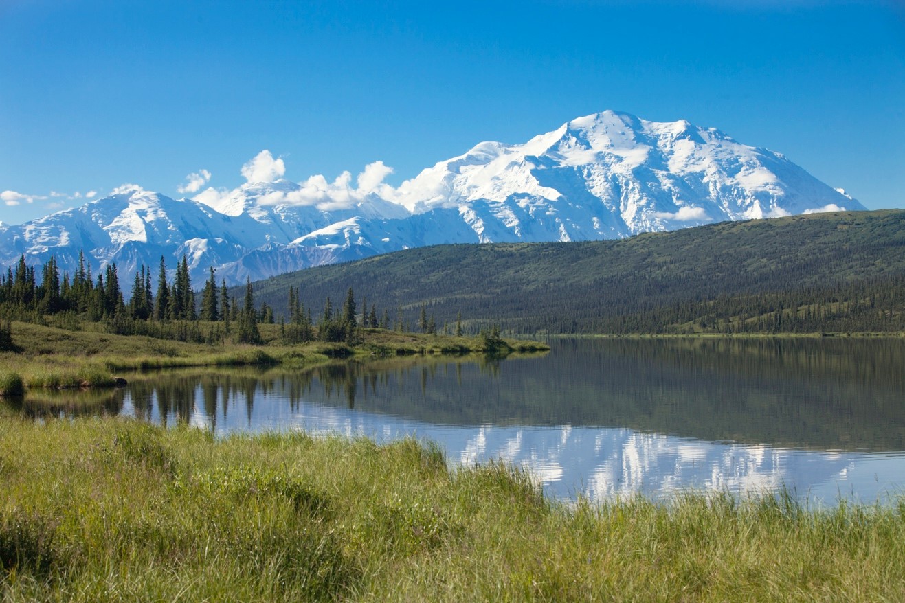 a stunning blue sky photo of mt. denali taken from reflection pond