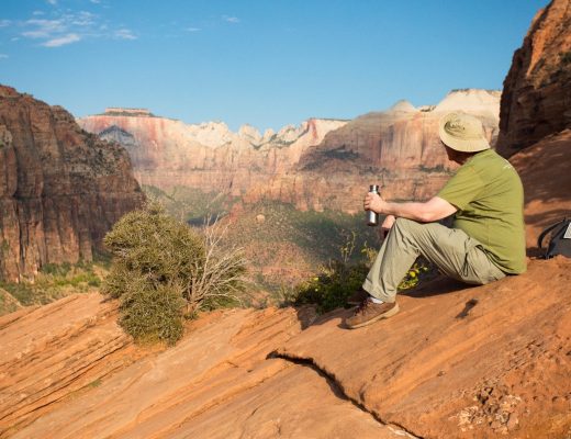 a traveler stares out at the main Zion Canyon from an overlook
