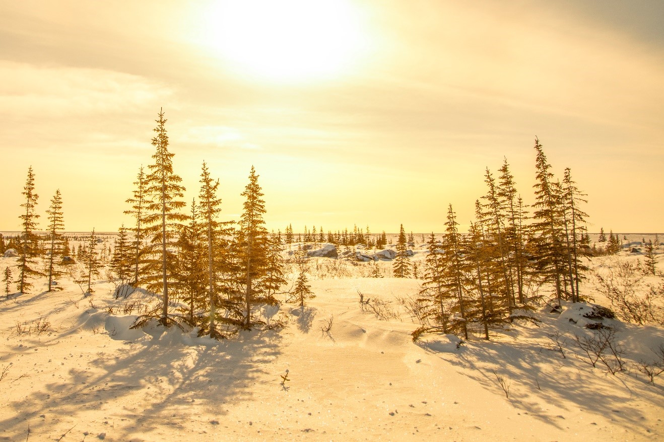 dramatic golden lighting over churchill manitoba