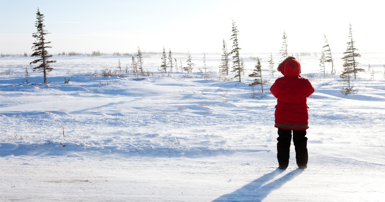 a solo woman in red looks at the tundra from the highway in churchill, manitoba, canada