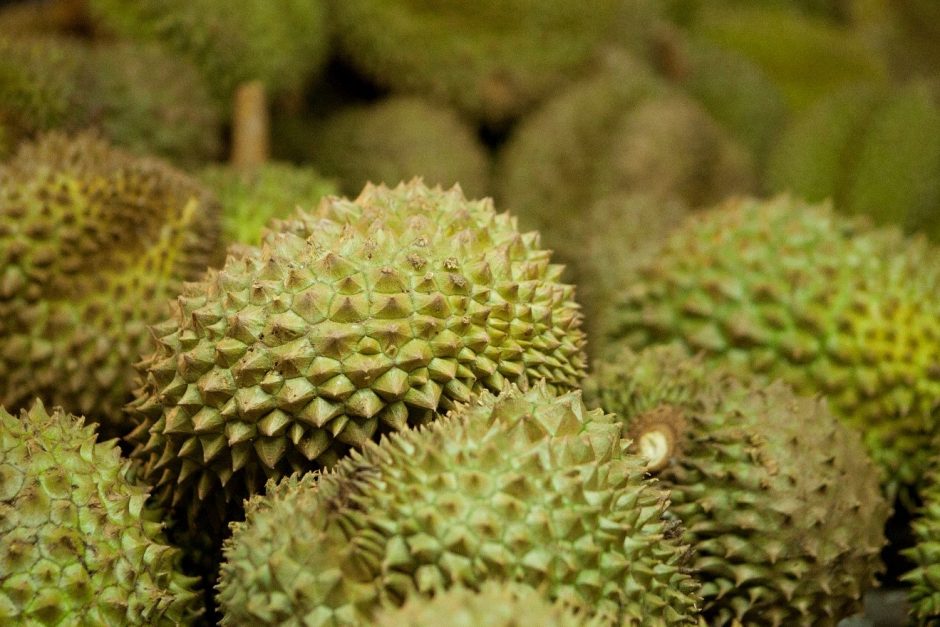 a narrow depth of field photo of durian fruit