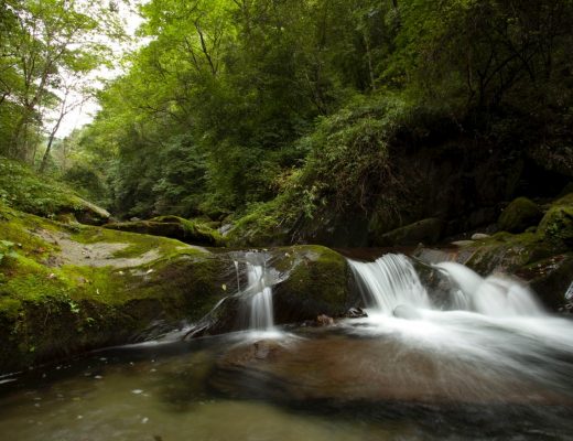 a silky waterfall cascading down rocks in China's tangjiahe national park