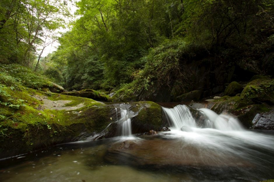 a silky waterfall cascading down rocks in China's tangjiahe national park