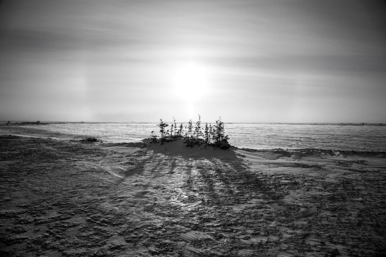 a black and white photo of the arctic