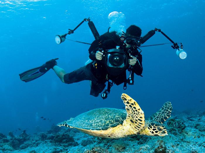 a photographer with a large camera photographs underwater