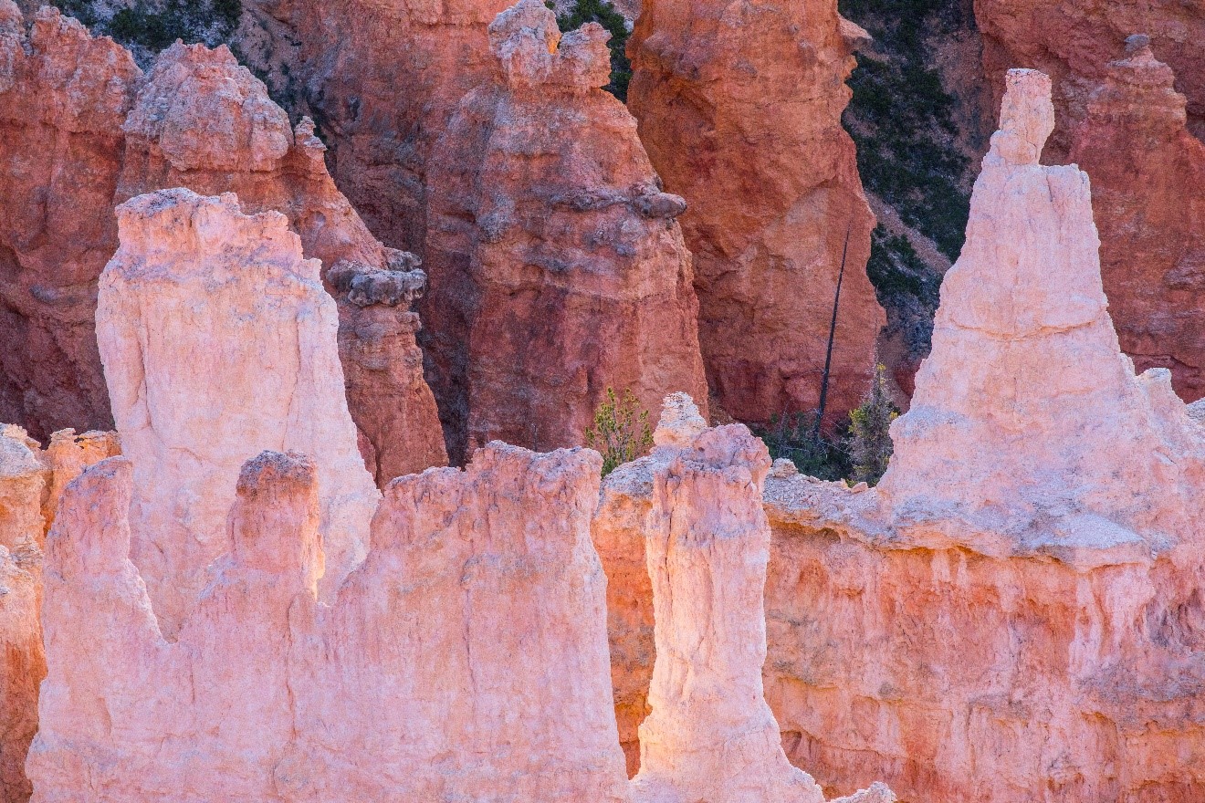the colorful hoodoos of bryce