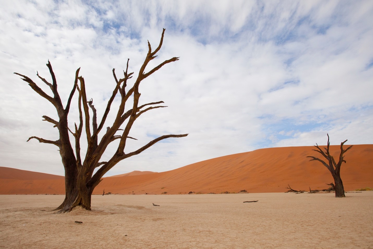 a photograph from the floor of the dead vlei in the namib desert
