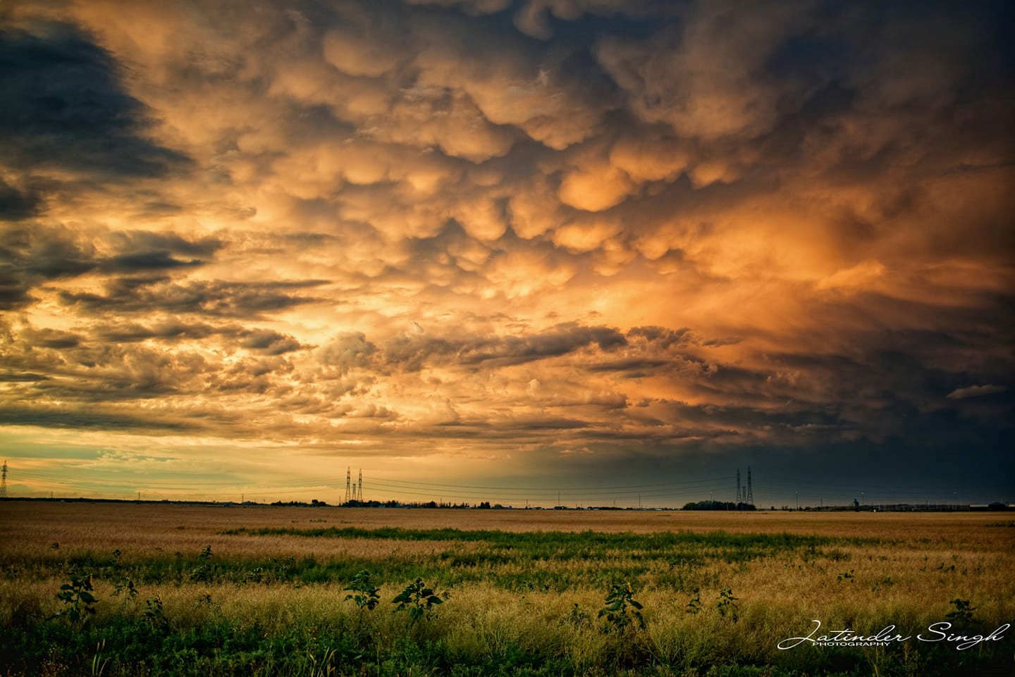 amazing orange and yellow mammatus clouds form over a prairie