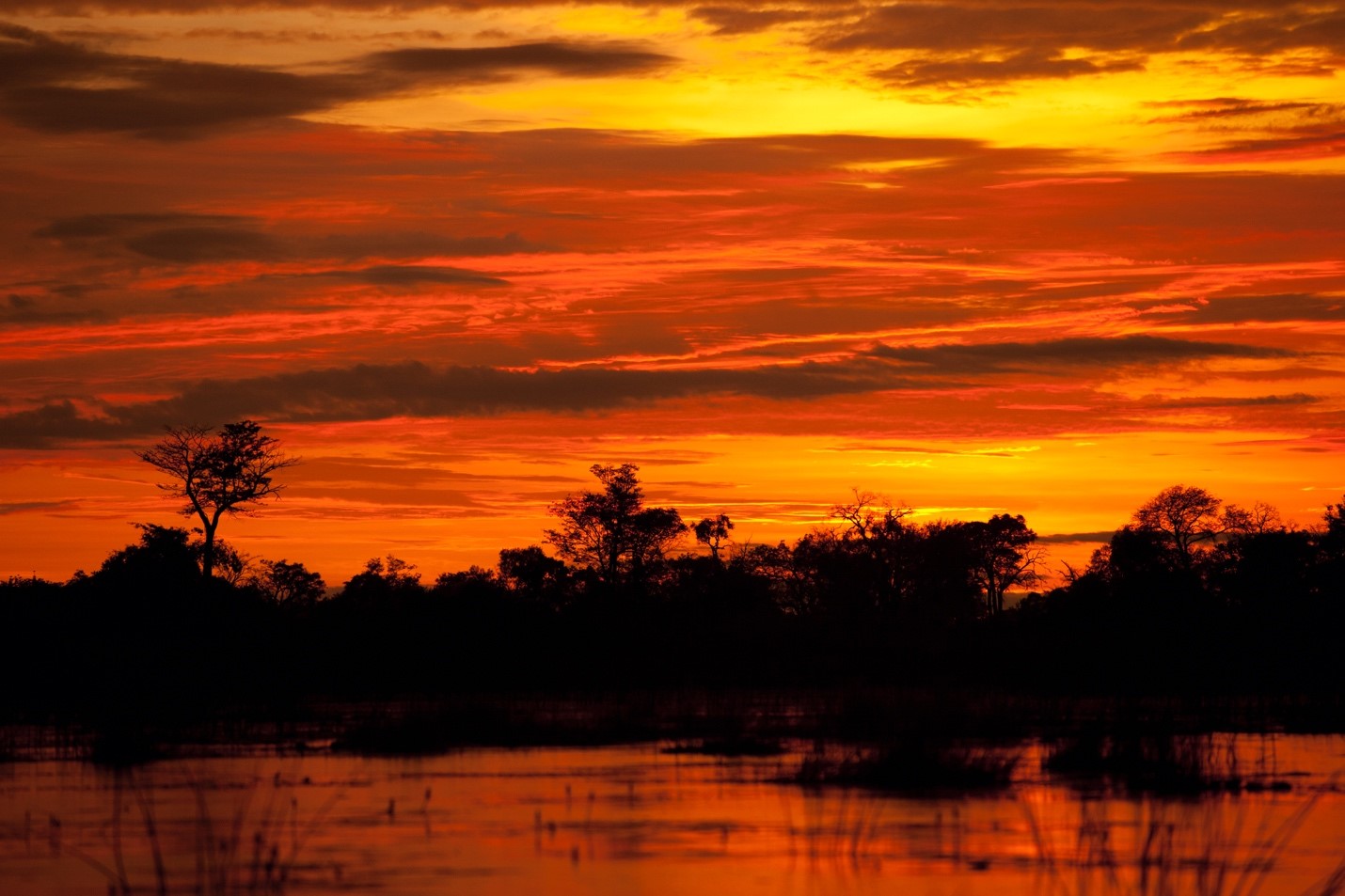 an orange and red sunset shines over the okavango delta