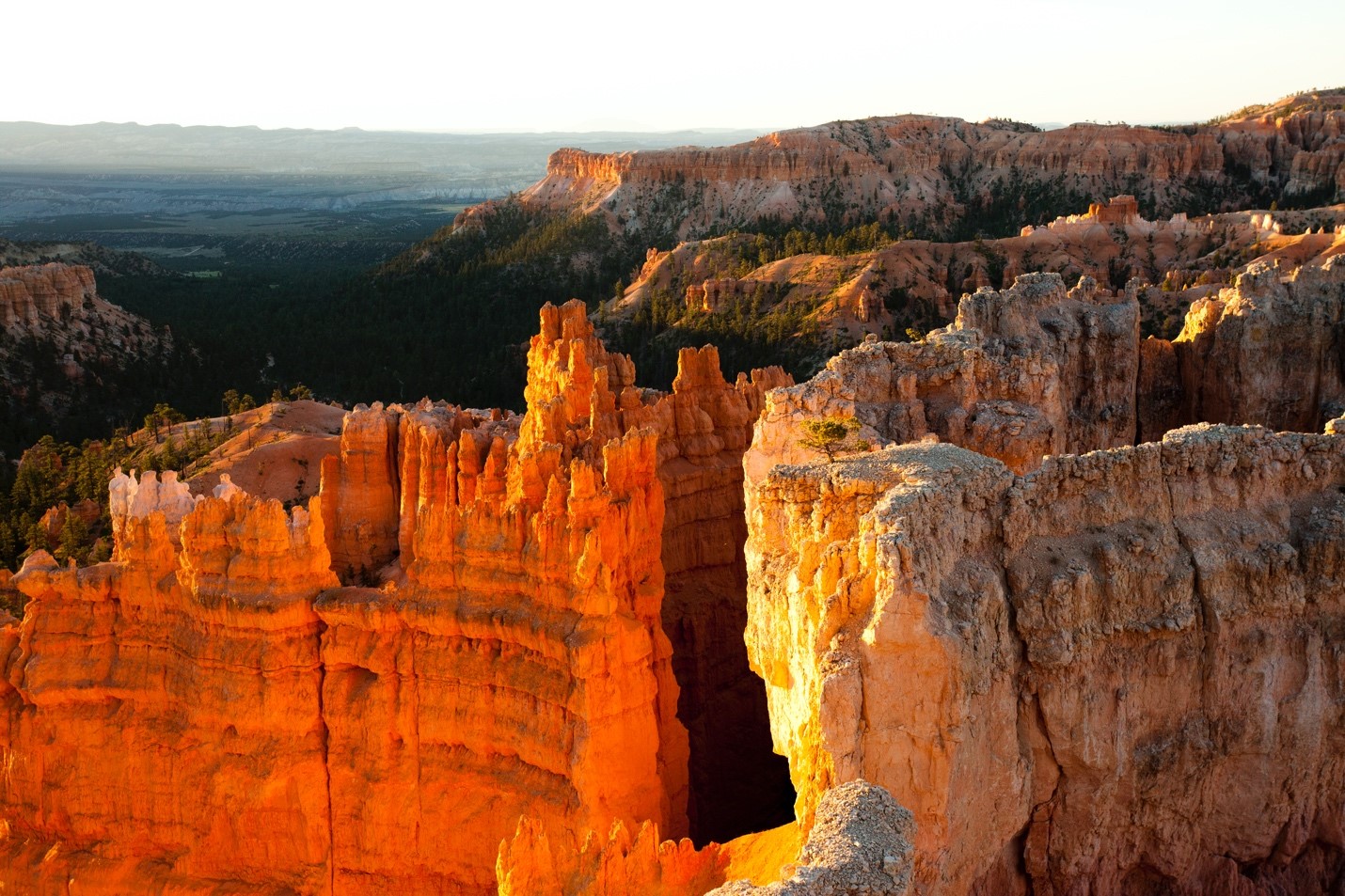 textured rock in bryce canyon national park