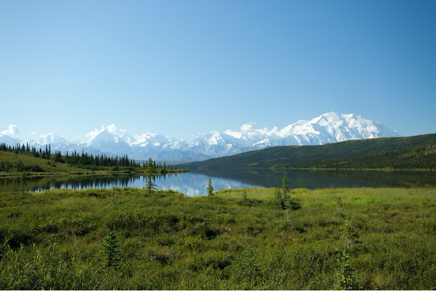 Denali rises above the rest of the range with a reflection upon