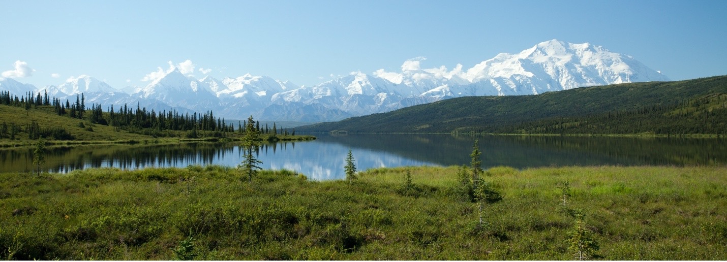 Mt. Denali mountains
